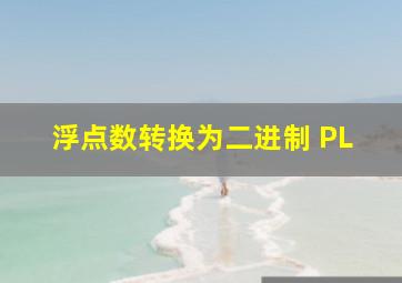 浮点数转换为二进制 PL